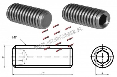 WKRT USTALAJCY M8X10 H45 913 / 4026 /PASKI/